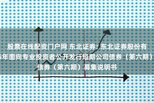 股票在线配资门户网 东北证券: 东北证券股份有限公司2025年面向专业投资者公开发行短期公司债券(第六期)募集说明书