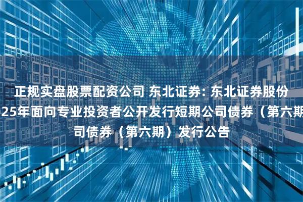 正规实盘股票配资公司 东北证券: 东北证券股份有限公司2025年面向专业投资者公开发行短期公司债券(第六期)发行公告